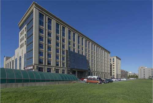 江苏茶树菇鲜品