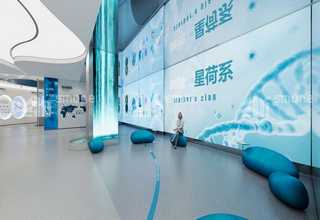 青岛高营养生态智慧农业定制