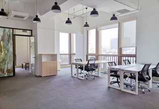 中山紫穗槐园林