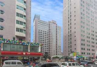 阜阳夹木叉多少钱