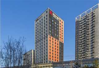 黄浦区金吉拉猫咪定制选购注意事项