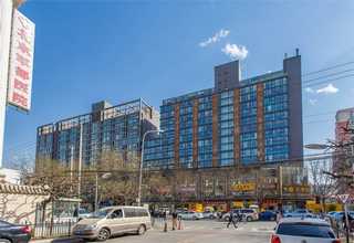 北京震动瑜伽滚轴价格